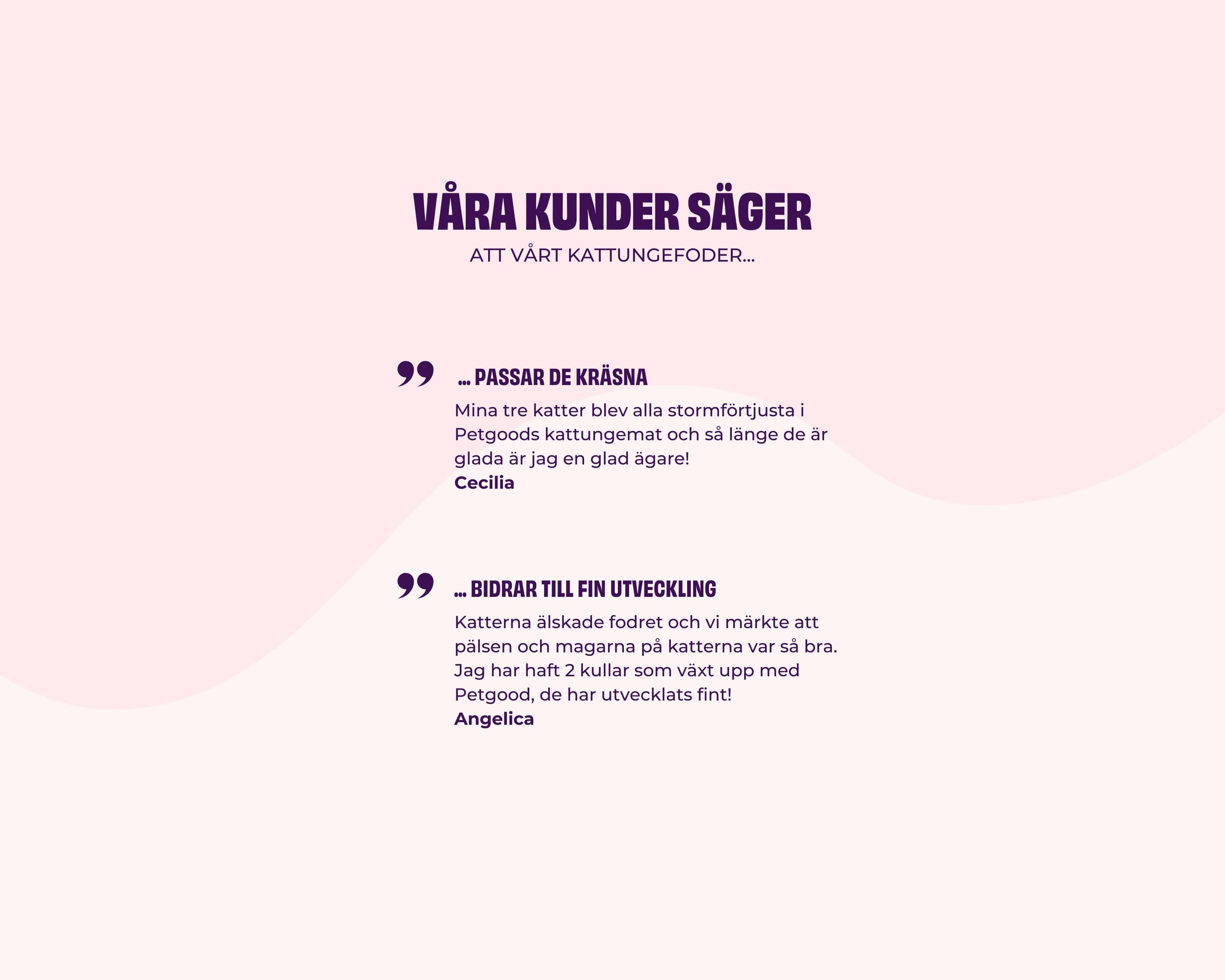 https://a.storyblok.com/f/236174/3840x3072/13b20c5673/customer-quotes-kitten-dry-food-sv.jpg