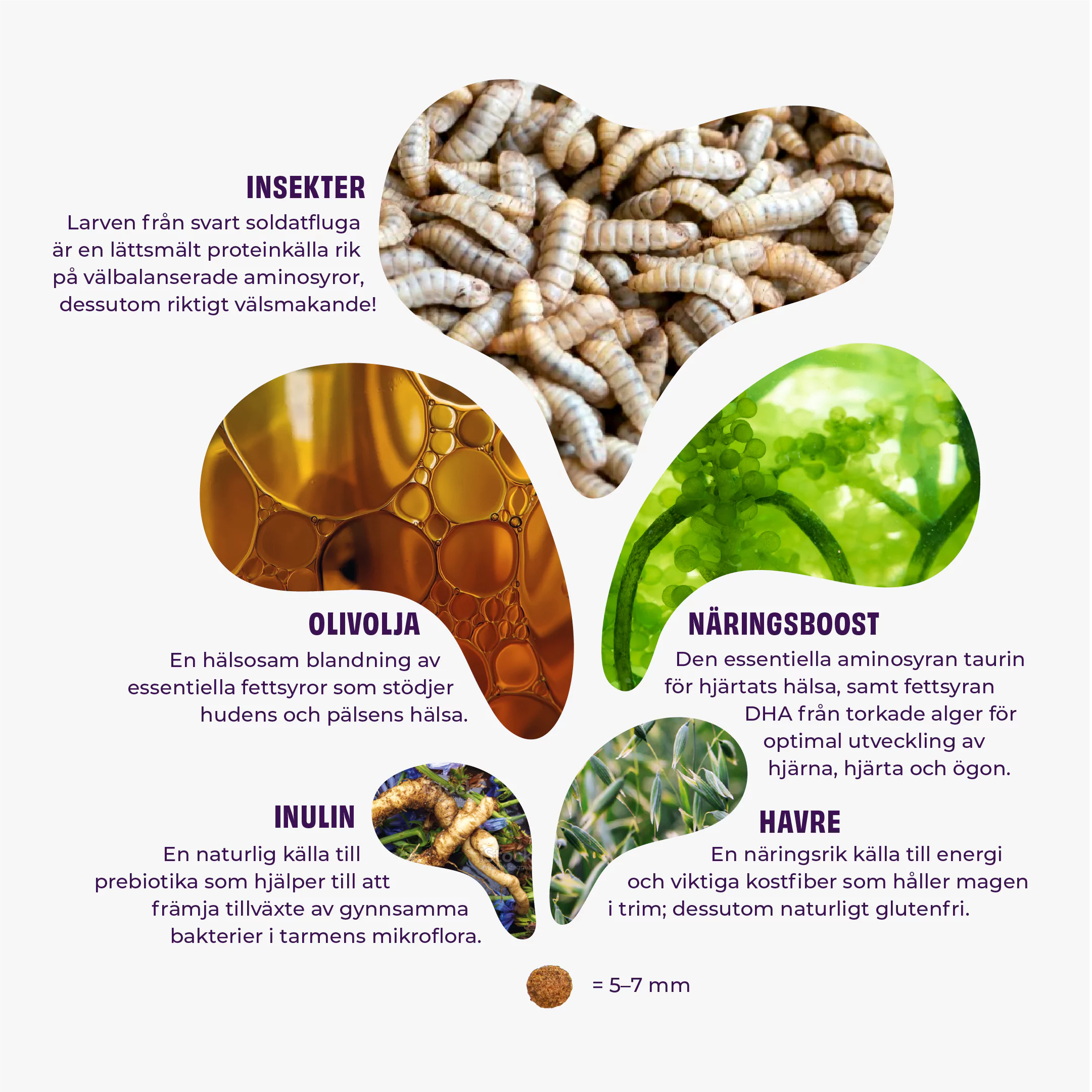 Petgood Kattungefoder Ingredienser